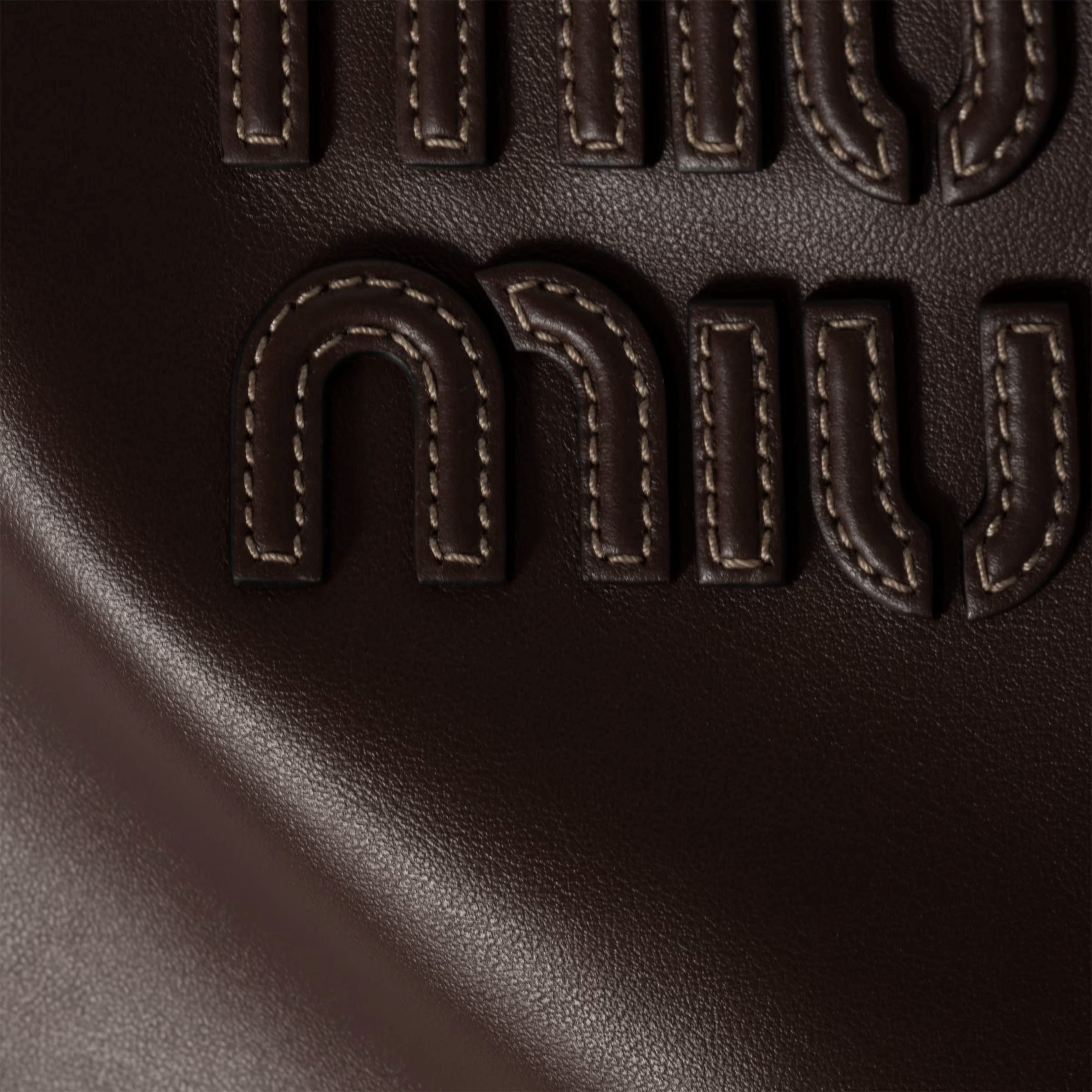 details of the miu miu IVY bag